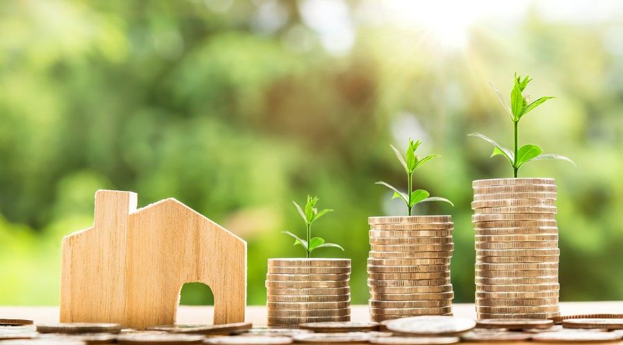 Your Questions Answered About Investing in Real Estate Rental Property Shows Wood House Next to Coins With Sprouts Growing Out of Them.